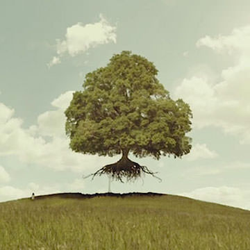 Creotec Roots Of Energy